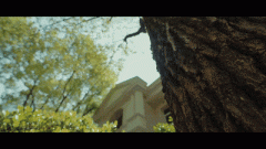 （买卖手续费经减半）是对衡宇的现实操纵